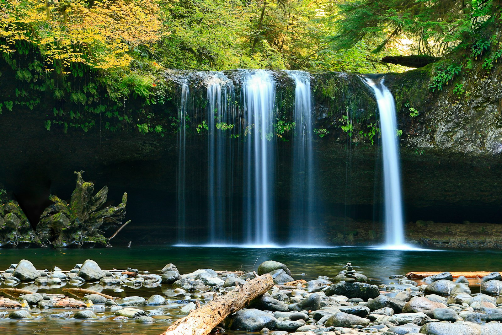 Waterfall pouring into a rocky forest pool